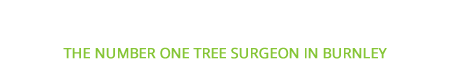 burnley tree surgeons lower logo